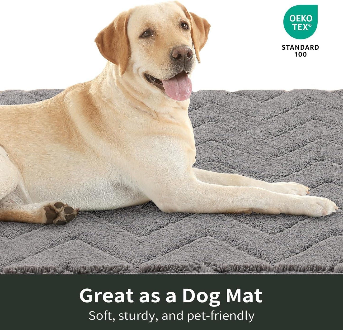 Stiio Front Door Mat Indoor Outdoor Entrance 20x31.5 Inches, Non Slip Washable Entry Rug, Dog Doormat, Absorbent Entrance Mat for Front & Back Door, Muddy Wet Shoes & Paws, Grey