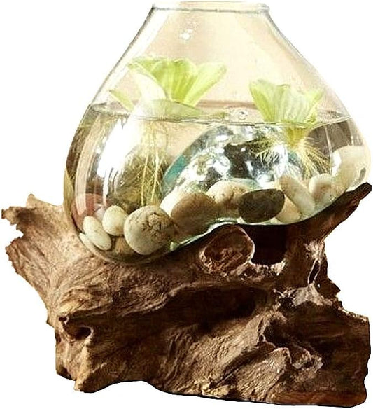 Hand Blown Molten Glass & Teak Wood Terrarium/Vase/Fish Bowl - Premium Quality (10" - 12" High)