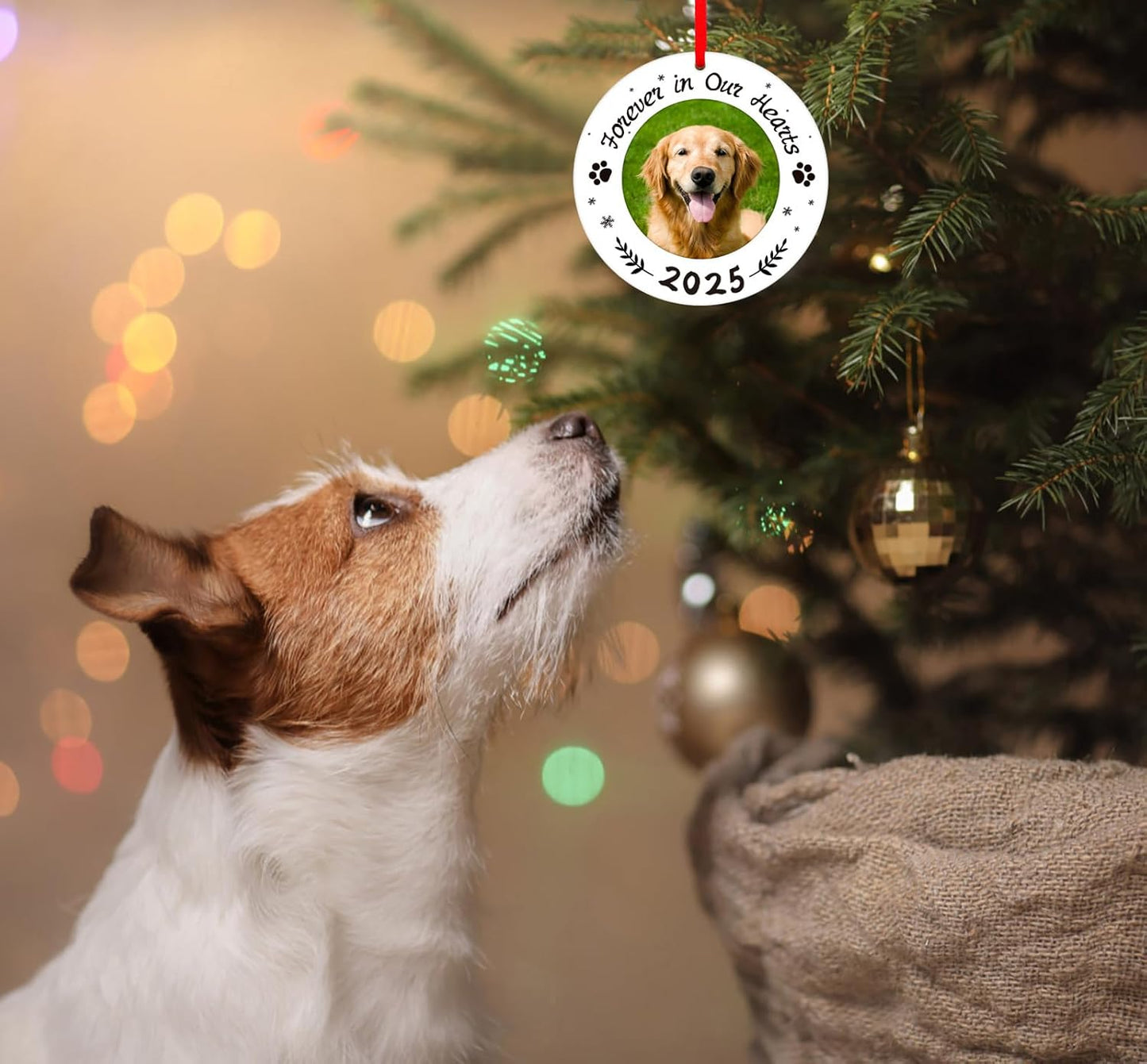 WaaHome Picture Frame Dog Memorial Christmas Ornaments 2025 - Forever in Our Hearts Pet Memorial Ornaments for Christmas Tree, Pet Sympathy Remembrance Gifts for Loss of Dogs Cats Pets