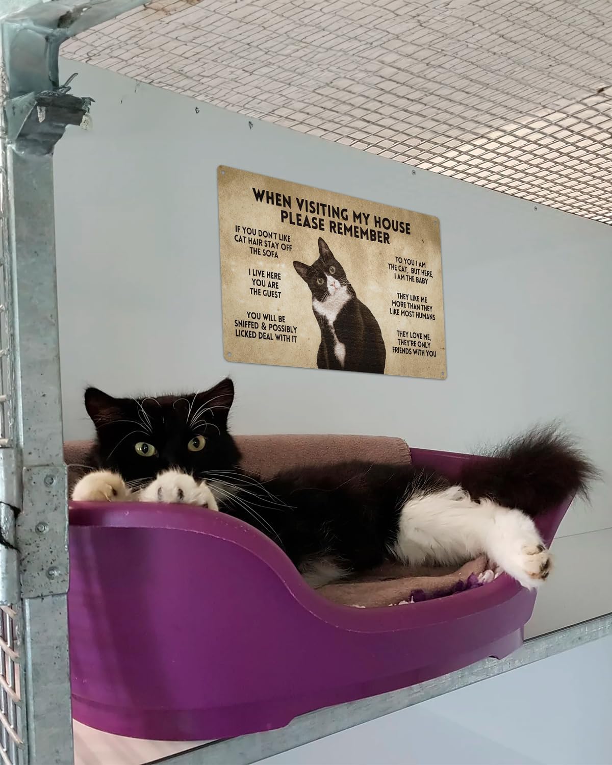 ALKB Funny Tuxedo Cat-Themed Sign 8x12 Inch - Visitor’s Guide to Interacting with Cats - Gift for Cat Lovers’ Home Decor