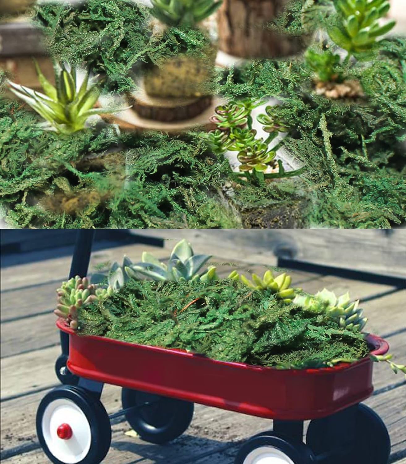 35 OZ Artificial Moss for Fake Plants and Planters - Decorative Faux Moss for Craft and Home Decor