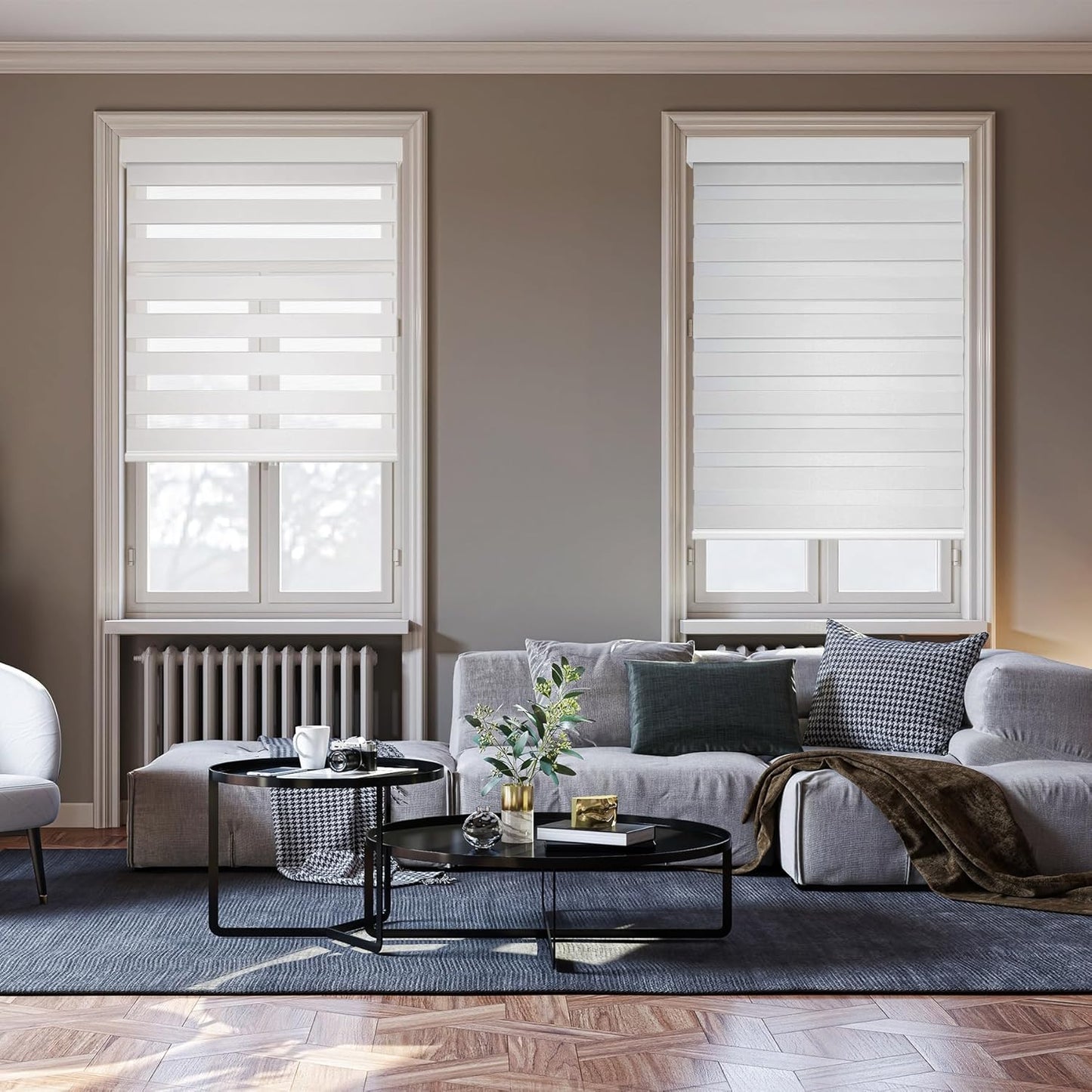 HESTIA Cordless Zebra Blinds Light Filtering Roller Shades Blackout Indoor Window Blind for Home Office,White,25" W x 48" H