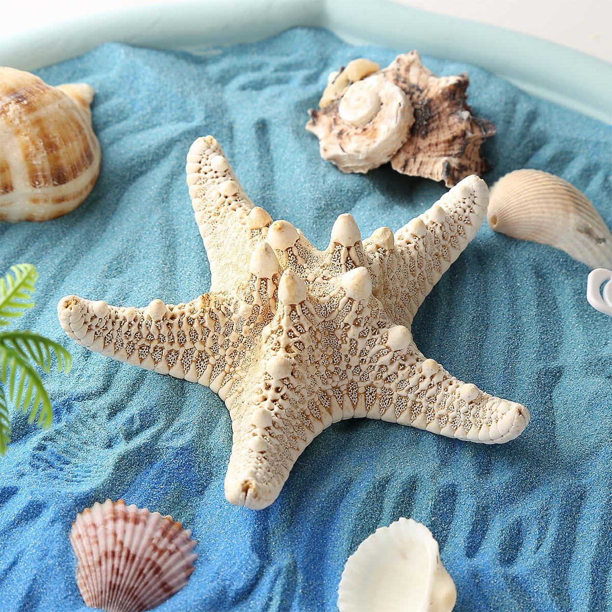 Desktop Zen Garden Kit - Ocean Themed Decor Sand, Natural Shells Starfish Conch, Mermaid Resin Summer Beach Desktop Decorations, Office Desktop Decoration Gift (Blue)