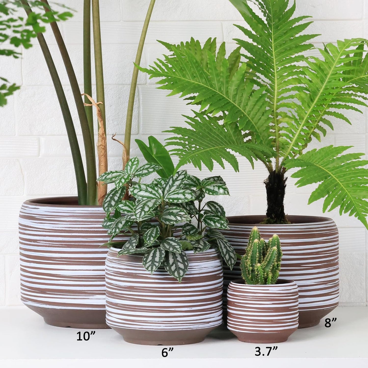 10 Inch Ceramic Plant Pot with Drainage – Large Flower Pot for Indoor Outdoor Plants, Modern Decorative Planter for Patio, Balcony, Garden, or Home Decor