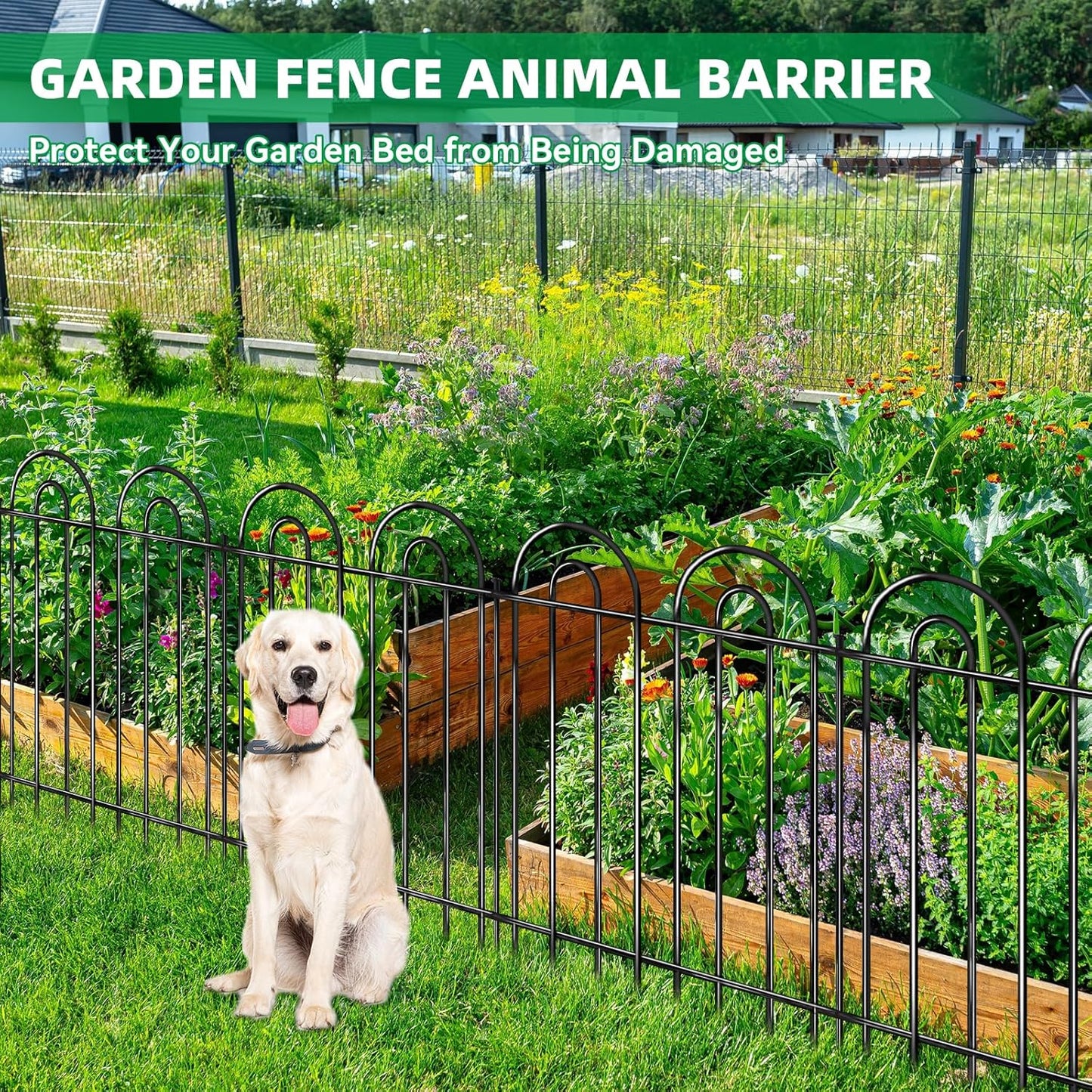 25 Panels Decorative Garden Fence, 24 in(H) X 50 ft(L) No Dig Dog Fence Outdoor for Yard, Rustproof Metal Garden Fencing Animal Barrier Border with Ground Stakes, Temporary Fencing for Patio Outdoor