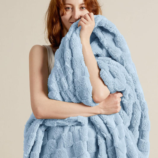 Bedsure GentleSoft Blankets Queen Size for Bed - Super Soft Cozy Blanket for Women Men Girls, Large Fuzzy Fleece Throw for Bedroom Decor, Light Blue, 90x90 Inches