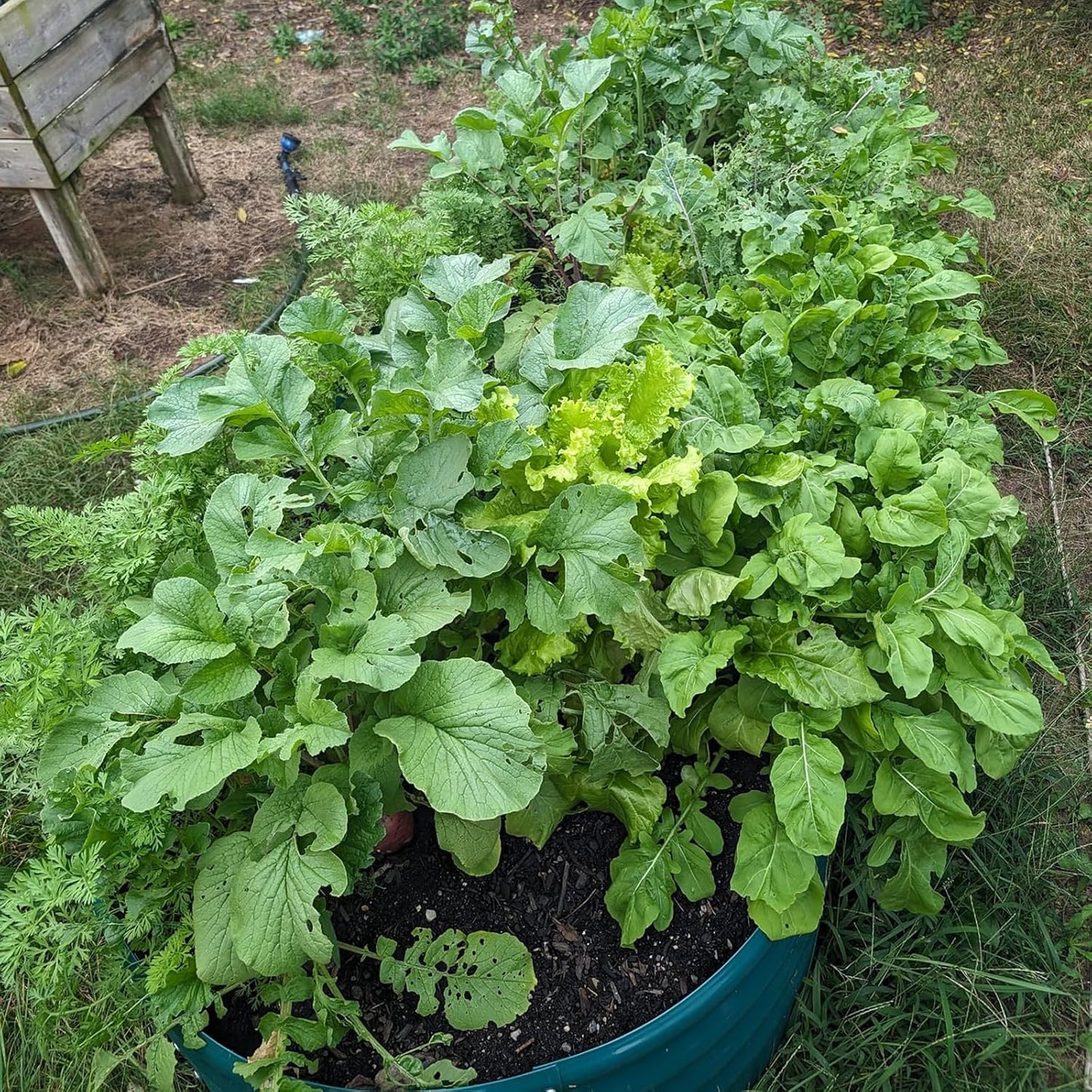 2 Pack 8x3x1FT Galvanized Raised Garden Bed Large Metal Planter Box Kit Elevated Raised Garden Planters for Outdoor Plants, Green