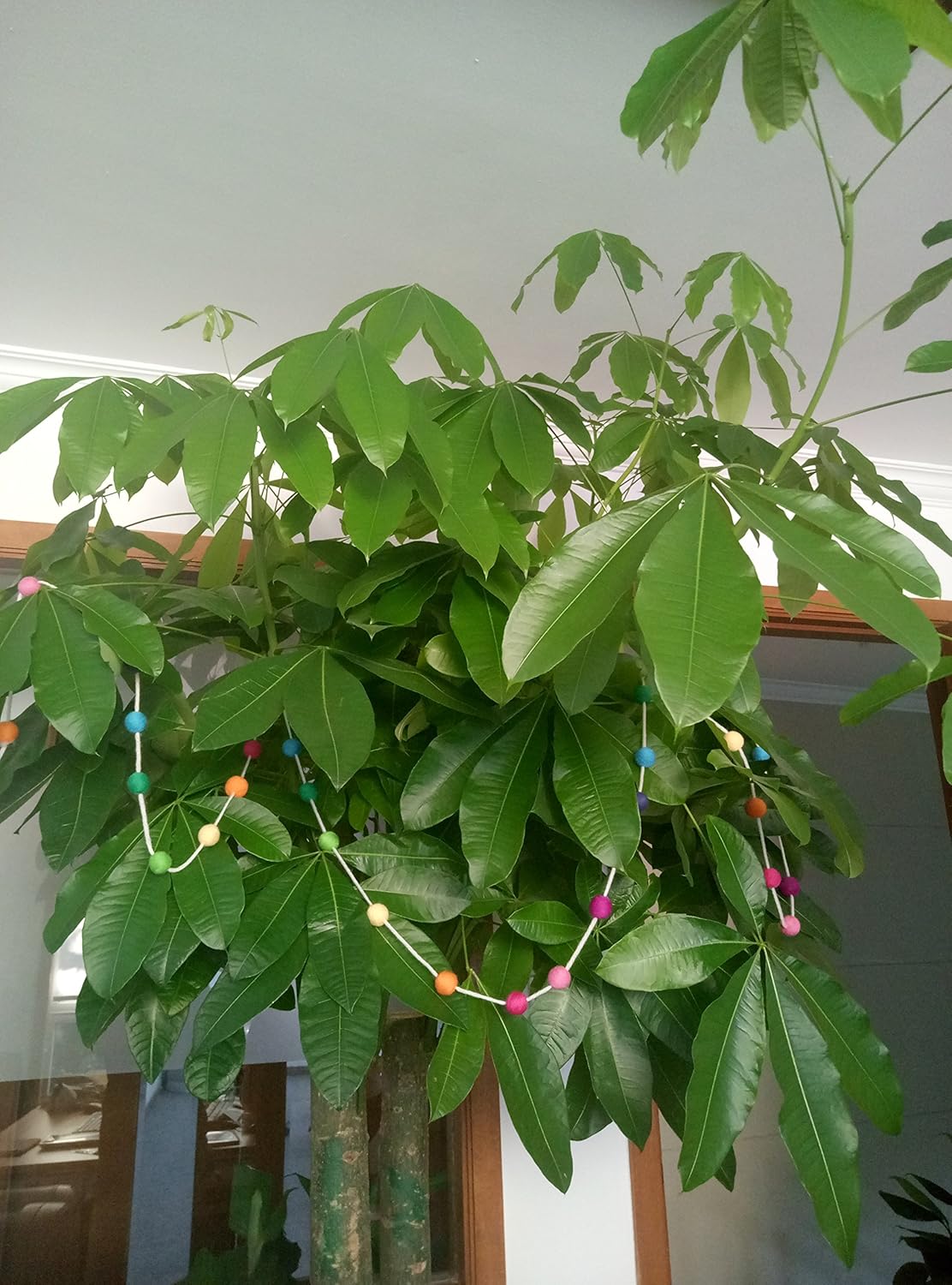 Felt Ball Garland Misscrafts 9.8 Feet 100% Wool Roving Pom Pom Garland 20mm Colorful for Baby Shower Grand Opening Party Festivals Room Decorations