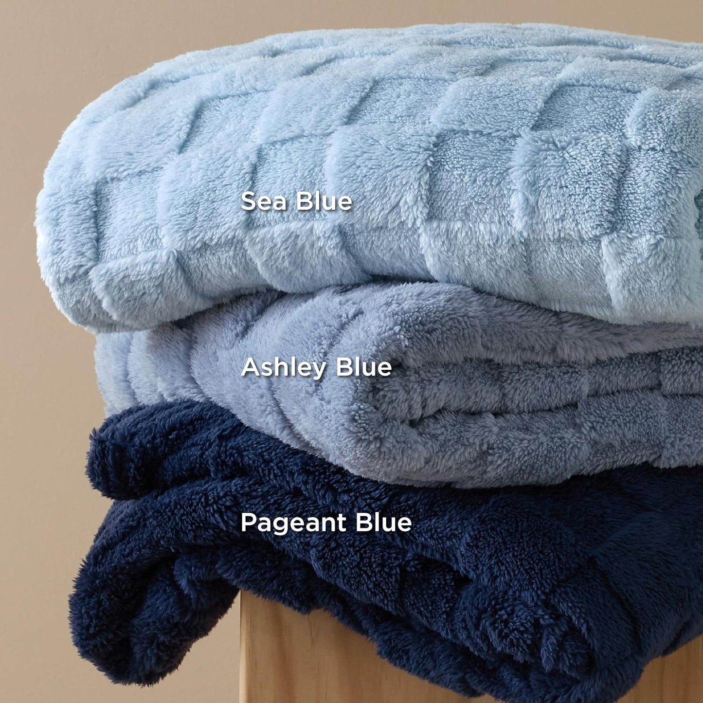 Bedsure GentleSoft Blankets Queen Size for Bed - Super Soft Cozy Blanket for Women Men Girls, Large Fuzzy Fleece Throw for Bedroom Decor, Ashley Blue, 90x90 Inches